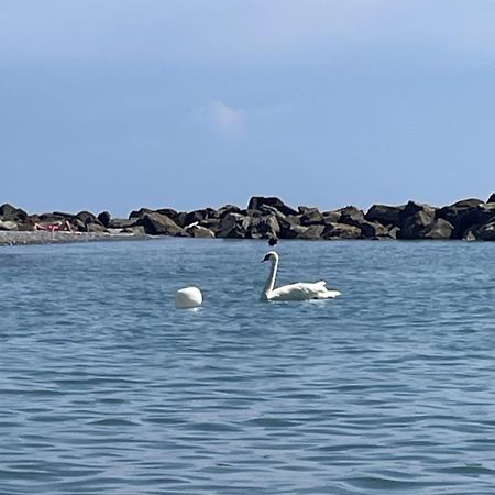 Casa Aiga Marina Lejlighed Ventimiglia Eksteriør billede